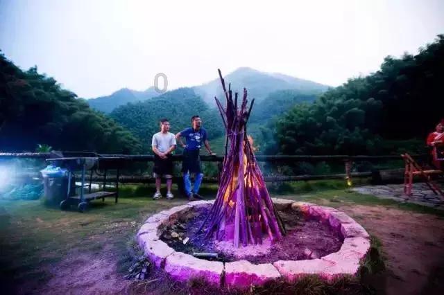 空闲农场